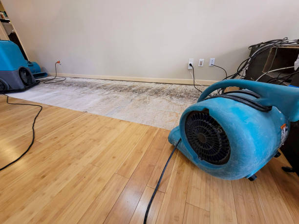 Professional Emergency Water Damage technician working in Layland, WV